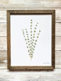611fc05e3c4ce80992caae23_thyme-print-framed_1774991435408.jpg