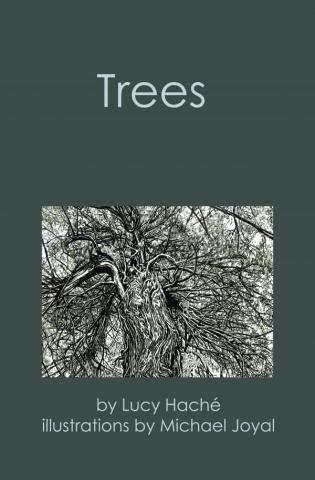 Trees. Overhead series. 3.
