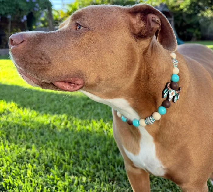 Turquoise Trails Beaded Collar