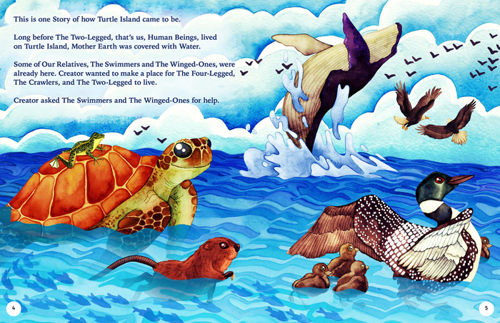 Turtle Island (HC)
