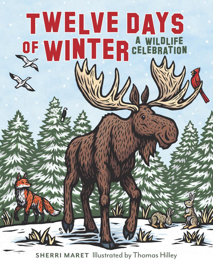Twelve Days of Winter (HC)