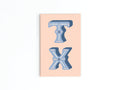 TX Refrigerator Magnet
