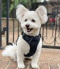 Venture Paw Pull Control Dog Harness - Midnight
