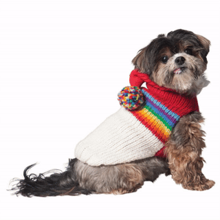 Vintage Ski Hoodie Dog Sweater