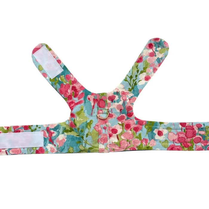 Watercolor Harness
