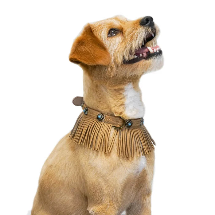 Western Fringed Style Collar in Tan