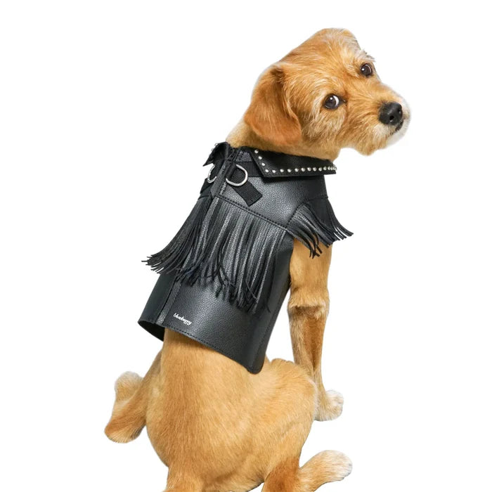 Western Fringed Style Harness Jacket in Black
