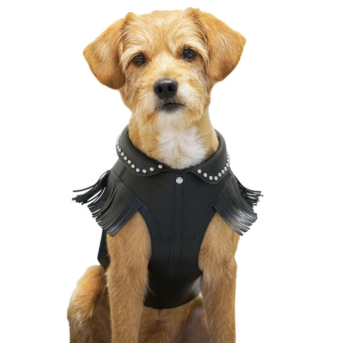 Western Fringed Style Harness Jacket in Black