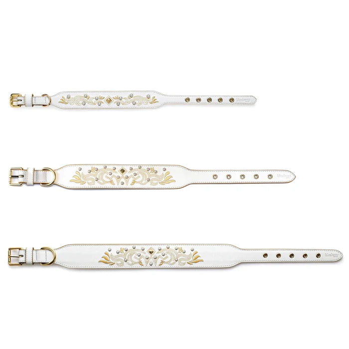 Western Genuine Leather Embroidered Dog Collar with Turquoise Studs in White