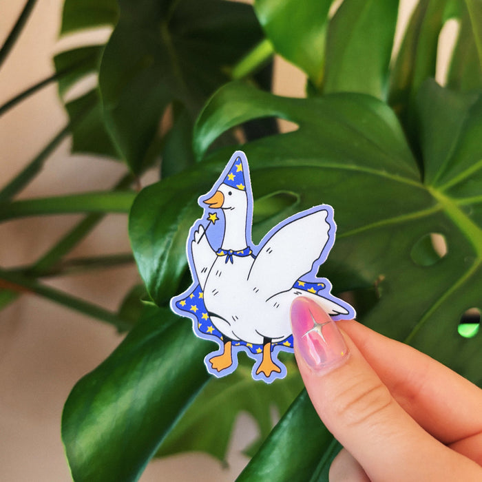 611fc05e3c4ce80992caae23_wizard-goose_1768867357211.jpeg
