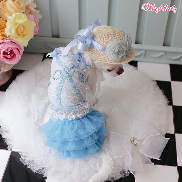 Wooflink Love Lace Top in Blue