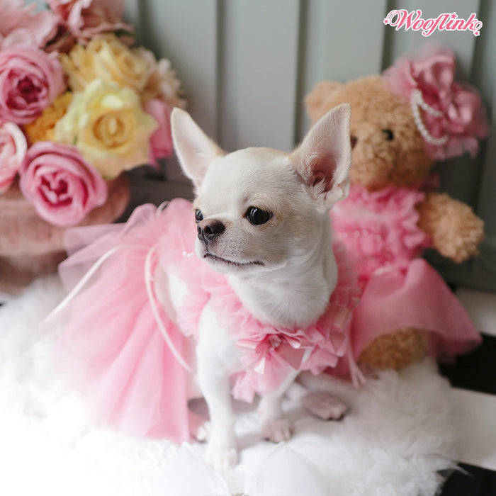 Wooflink Pink Ballerina Tulle Dress