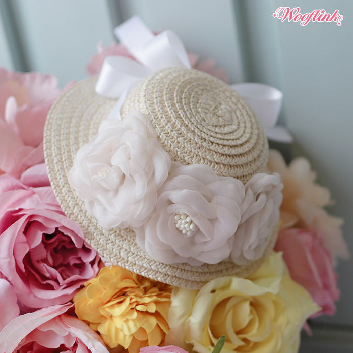 Wooflink Sunny Days Straw Hat in 3 Colors