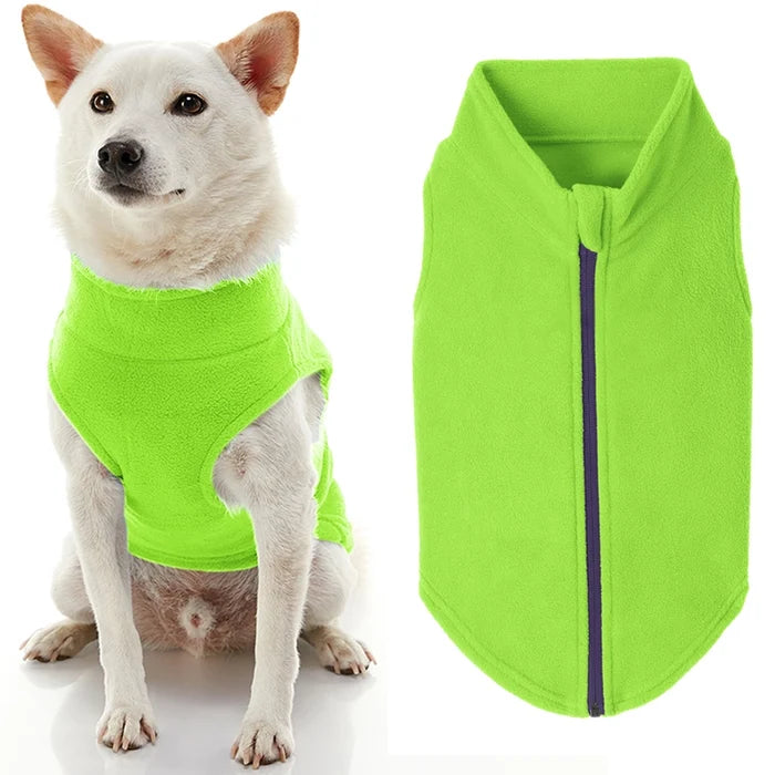 Zip Up Fleece in Lime